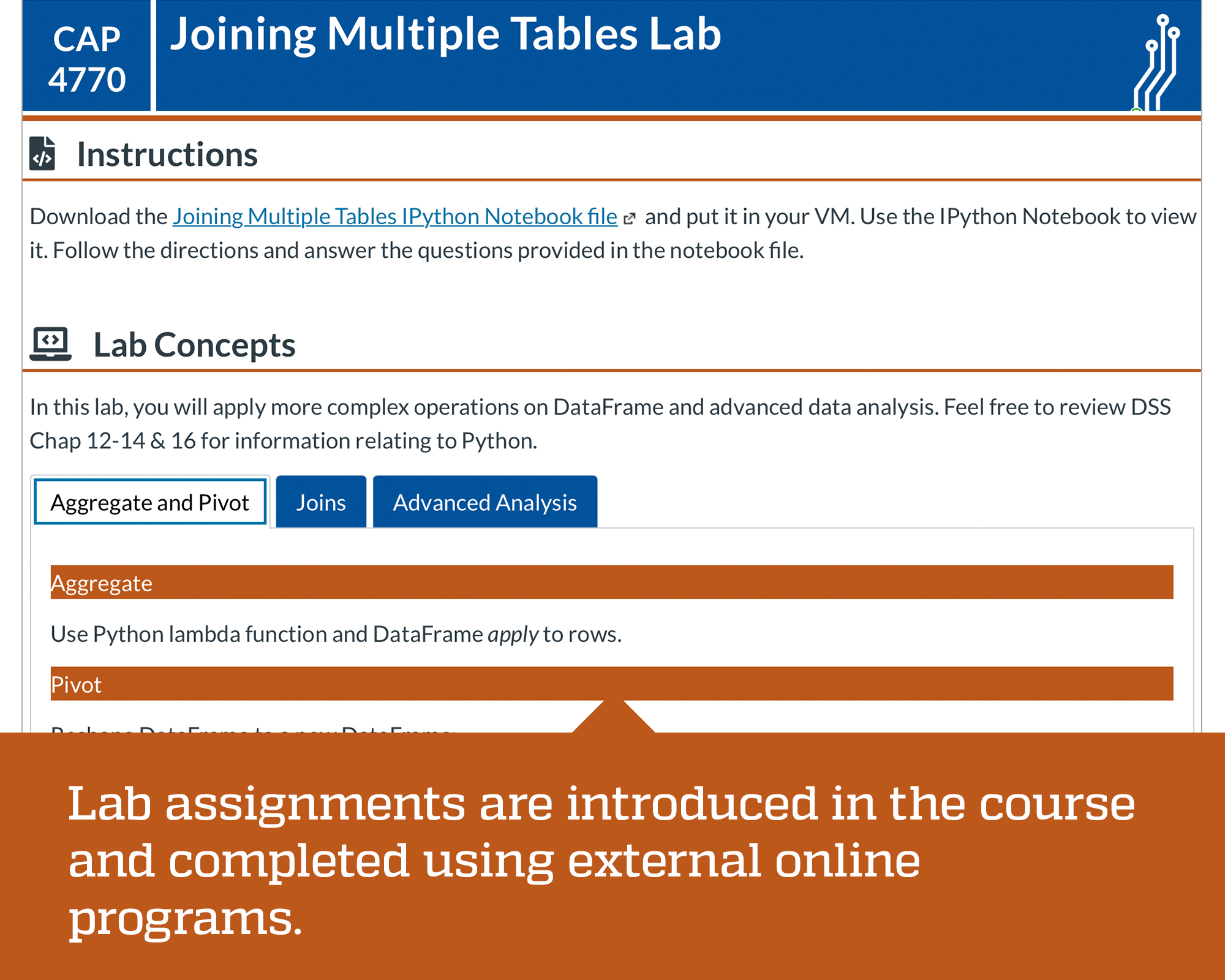 Course lab assignment page designed by Center for Online Innovation and Production at University of Florida